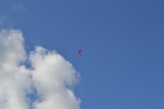 Имя файла=DSC_0036.JPG
Размер файла=2146КБ
Размеры=3072x2048
Дата=%324 %12, %2014 DSC_0036.JPG