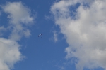 Имя файла=DSC_0043~3.JPG
Размер файла=3190КБ
Размеры=4608x3072
Дата=%450 %13, %2017 DSC_0043~3.JPG