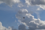 Имя файла=DSC_0049~0.JPG
Размер файла=2162КБ
Размеры=3072x2048
Дата=%323 %21, %2015 DSC_0049~0.JPG