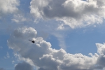Имя файла=DSC_0050~0.JPG
Размер файла=2155КБ
Размеры=3072x2048
Дата=%323 %21, %2015 DSC_0050~0.JPG