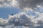 Имя файла=DSC_0051~0.JPG
Размер файла=2195КБ
Размеры=3072x2048
Дата=%323 %21, %2015 DSC_0051~0.JPG