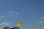 Имя файла=DSC_0054~1.JPG
Размер файла=2183КБ
Размеры=3069x2046
Дата=%740 %23, %2015 DSC_0054~1.JPG
