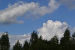 Имя файла=DSC_0058~0.JPG
Размер файла=2826КБ
Размеры=3072x2048
Дата=%324 %21, %2015 DSC_0058~0.JPG