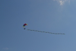Имя файла=DSC_0072~0.JPG
Размер файла=2095КБ
Размеры=3072x2048
Дата=%325 %21, %2015 DSC_0072~0.JPG