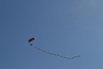 Имя файла=DSC_0073~0.JPG
Размер файла=2126КБ
Размеры=3072x2048
Дата=%325 %21, %2015 DSC_0073~0.JPG