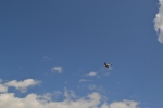 Имя файла=DSC_0093~0.JPG
Размер файла=2198КБ
Размеры=3072x2048
Дата=%327 %21, %2015 DSC_0093~0.JPG