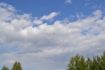 Имя файла=DSC_0094~0.JPG
Размер файла=2365КБ
Размеры=3072x2048
Дата=%327 %21, %2015 DSC_0094~0.JPG