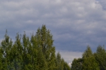 Имя файла=DSC_0095~0.JPG
Размер файла=3041КБ
Размеры=3072x2048
Дата=%327 %21, %2015 DSC_0095~0.JPG