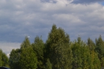 Имя файла=DSC_0096~0.JPG
Размер файла=3475КБ
Размеры=3072x2048
Дата=%327 %21, %2015 DSC_0096~0.JPG