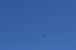 Имя файла=DSC_0100~2.JPG
Размер файла=3437КБ
Размеры=4608x3072
Дата=%458 %13, %2017 DSC_0100~2.JPG