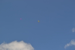 Имя файла=DSC_0108~2.JPG
Размер файла=3190КБ
Размеры=4608x3072
Дата=%459 %13, %2017 DSC_0108~2.JPG