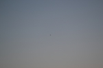 Имя файла=DSC_0110~1.JPG
Размер файла=2254КБ
Размеры=3069x2046
Дата=%864 %23, %2015 DSC_0110~1.JPG