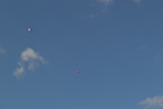 Имя файла=DSC_0121~2.JPG
Размер файла=3283КБ
Размеры=4608x3072
Дата=%460 %13, %2017 DSC_0121~2.JPG