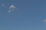 Имя файла=DSC_0123~2.JPG
Размер файла=3215КБ
Размеры=4608x3072
Дата=%461 %13, %2017 DSC_0123~2.JPG