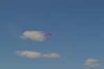 Имя файла=DSC_0125~2.JPG
Размер файла=3190КБ
Размеры=4608x3072
Дата=%461 %13, %2017 DSC_0125~2.JPG