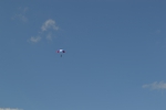 Имя файла=DSC_0126~1.JPG
Размер файла=3197КБ
Размеры=4608x3072
Дата=%461 %13, %2017 DSC_0126~1.JPG