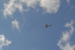 Имя файла=DSC_0137~0.JPG
Размер файла=2091КБ
Размеры=3072x2048
Дата=%331 %21, %2015 DSC_0137~0.JPG