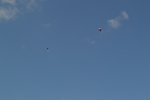 Имя файла=DSC_0139~1.JPG
Размер файла=3210КБ
Размеры=4608x3072
Дата=%462 %13, %2017 DSC_0139~1.JPG
