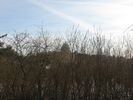 Имя файла=IMG_0001.jpg
Размер файла=237КБ
Размеры=1280x960
Дата=%536 %08, %2009 IMG_0001.jpg