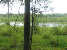 Имя файла=IMG_0724.jpg
Размер файла=1286КБ
Размеры=1280x960
Дата=%273 %11, %2010 IMG_0724.jpg