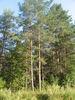 Имя файла=IMG_0777.jpg
Размер файла=957КБ
Размеры=960x1280
Дата=%777 %21, %2009 IMG_0777.jpg