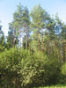 Имя файла=IMG_0783.jpg
Размер файла=832КБ
Размеры=960x1280
Дата=%781 %21, %2009 IMG_0783.jpg