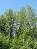 Имя файла=IMG_0790.jpg
Размер файла=893КБ
Размеры=960x1280
Дата=%788 %21, %2009 IMG_0790.jpg
