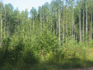 Имя файла=IMG_0793.jpg
Размер файла=762КБ
Размеры=1280x960
Дата=%789 %21, %2009 IMG_0793.jpg