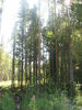 Имя файла=IMG_0794.jpg
Размер файла=633КБ
Размеры=960x1280
Дата=%790 %21, %2009 IMG_0794.jpg
