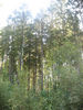 Имя файла=IMG_0796.jpg
Размер файла=733КБ
Размеры=960x1280
Дата=%791 %21, %2009 IMG_0796.jpg