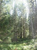 Имя файла=IMG_0805.jpg
Размер файла=844КБ
Размеры=960x1280
Дата=%798 %21, %2009 IMG_0805.jpg