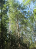 Имя файла=IMG_0812.jpg
Размер файла=998КБ
Размеры=960x1280
Дата=%801 %21, %2009 IMG_0812.jpg