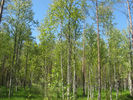 Имя файла=IMG_0814.jpg
Размер файла=1010КБ
Размеры=1280x960
Дата=%801 %21, %2009 IMG_0814.jpg