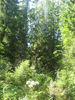 Имя файла=IMG_0827.jpg
Размер файла=964КБ
Размеры=960x1280
Дата=%806 %21, %2009 IMG_0827.jpg