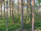 Имя файла=IMG_1011.jpg
Размер файла=215КБ
Размеры=640x480
Дата=%501 %09, %2008 IMG_1011.jpg