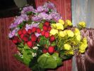 Имя файла=IMG_1022.jpg
Размер файла=163КБ
Размеры=640x480
Дата=%504 %09, %2008 IMG_1022.jpg