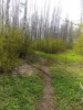 Имя файла=IMG_20200505_105554.jpg
Размер файла=961КБ
Размеры=1200x1600
Дата=%299 %05, %2020 IMG_20200505_105554.jpg