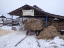 Имя файла=P1130030.JPG
Размер файла=2820КБ
Размеры=4608x3456
Дата=%684 %18, %2018 P1130030.JPG