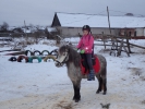 Имя файла=P1130045.JPG
Размер файла=2873КБ
Размеры=4608x3456
Дата=%686 %18, %2018 P1130045.JPG