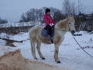 Имя файла=P1130049.JPG
Размер файла=2914КБ
Размеры=4608x3456
Дата=%686 %18, %2018 P1130049.JPG