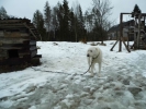 Имя файла=P1130237.JPG
Размер файла=1567КБ
Размеры=2048x1536
Дата=%364 %09, %2020 P1130237.JPG