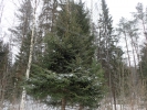 Имя файла=P2040012.JPG
Размер файла=3533КБ
Размеры=4608x3456
Дата=%372 %09, %2020 P2040012.JPG