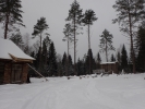 Имя файла=P2040026.JPG
Размер файла=2963КБ
Размеры=4608x3456
Дата=%373 %09, %2020 P2040026.JPG