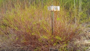 Имя файла=P5040046.JPG
Размер файла=388КБ
Размеры=1920x1080
Дата=%505 %04, %2016 P5040046.JPG