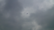 Имя файла=P6121037.JPG
Размер файла=801КБ
Размеры=1920x1080
Дата=%291 %13, %2016 P6121037.JPG