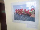 Имя файла=P6250021.JPG
Размер файла=3625КБ
Размеры=3968x2976
Дата=%312 %26, %2016 P6250021.JPG