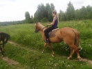 Имя файла=P7140058.JPG
Размер файла=4407КБ
Размеры=3968x2976
Дата=%211 %16, %2017 P7140058.JPG