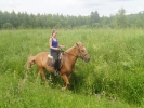 Имя файла=P7140067.JPG
Размер файла=4695КБ
Размеры=3968x2976
Дата=%212 %16, %2017 P7140067.JPG