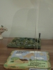 Имя файла=P7260038~0.JPG
Размер файла=151КБ
Размеры=960x1280
Дата=%257 %27, %2019 P7260038~0.JPG