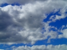 Имя файла=P8130056.JPG
Размер файла=3278КБ
Размеры=3968x2976
Дата=%228 %24, %2016 P8130056.JPG